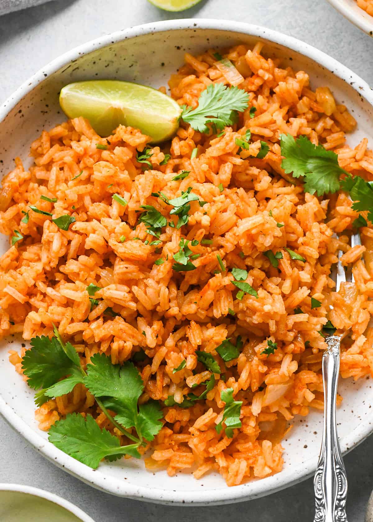 Mexican Rice Recipe on a plate with a fork