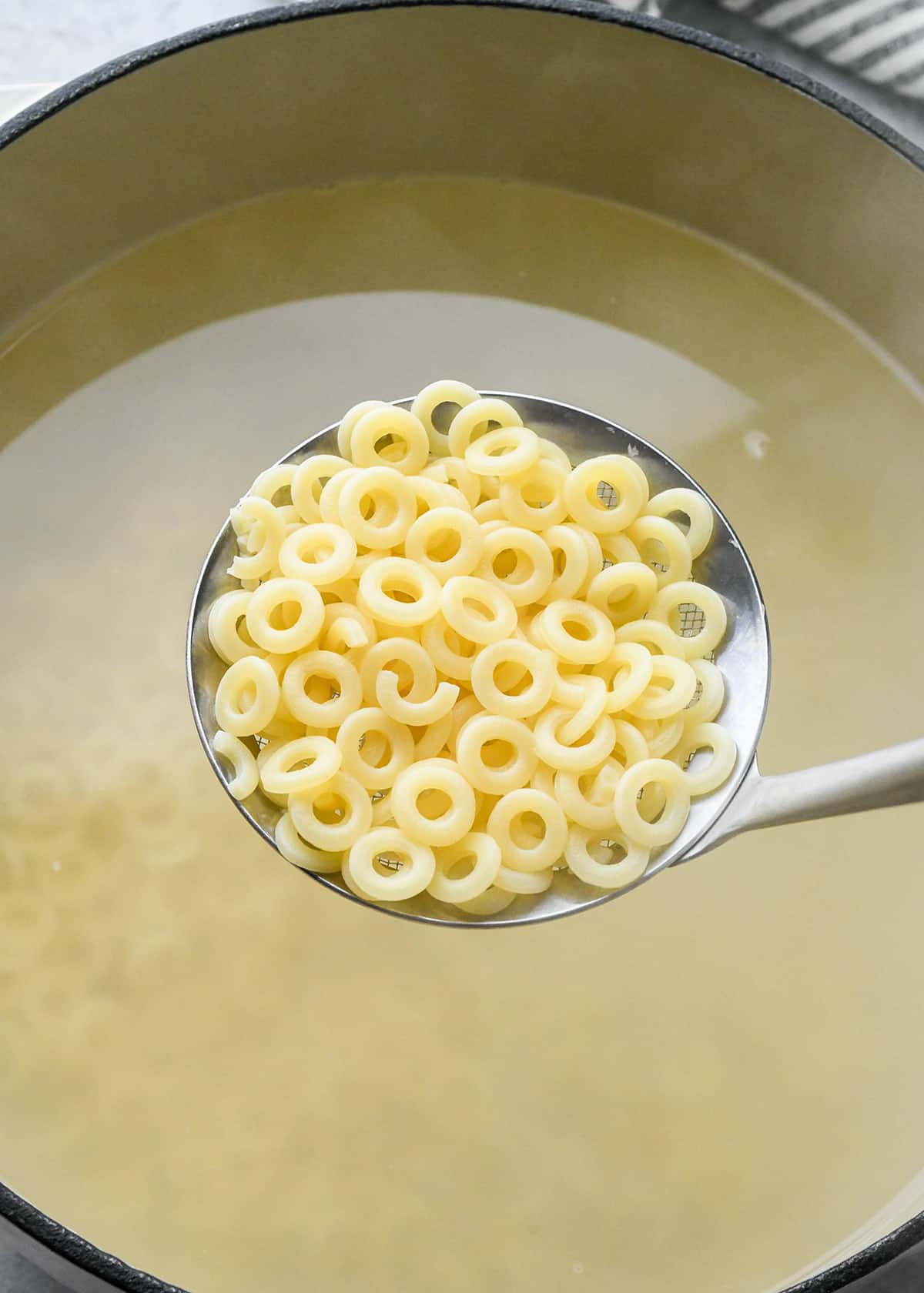 o shaped pasta on a ladle after cookie