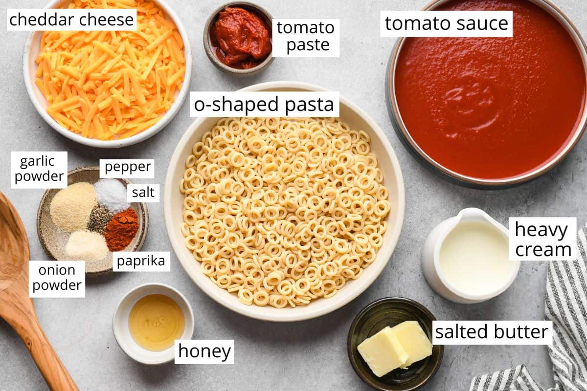 overhead view of the ingredients in this Homemade Spaghetti Os reicpe