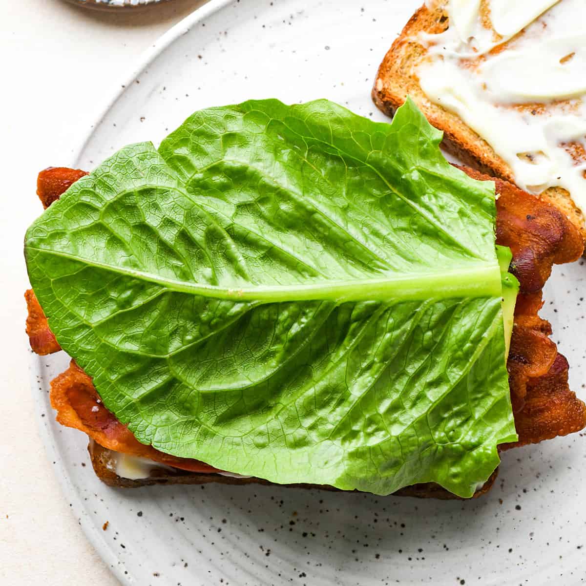 assembling a BLT sandwich - adding lettuce