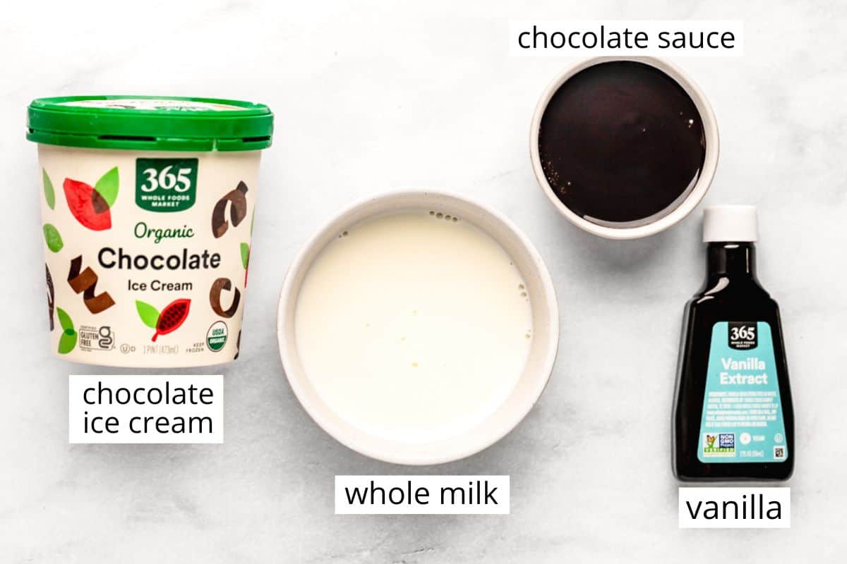 overhead photo of the ingredients in this Chocolate Milkshake Recipe