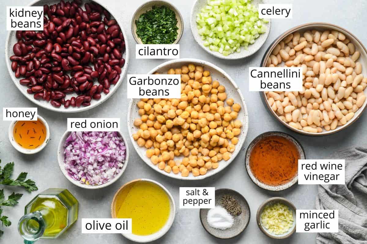 overhead photo of the labeled ingredients in this 3 Bean Salad recipe