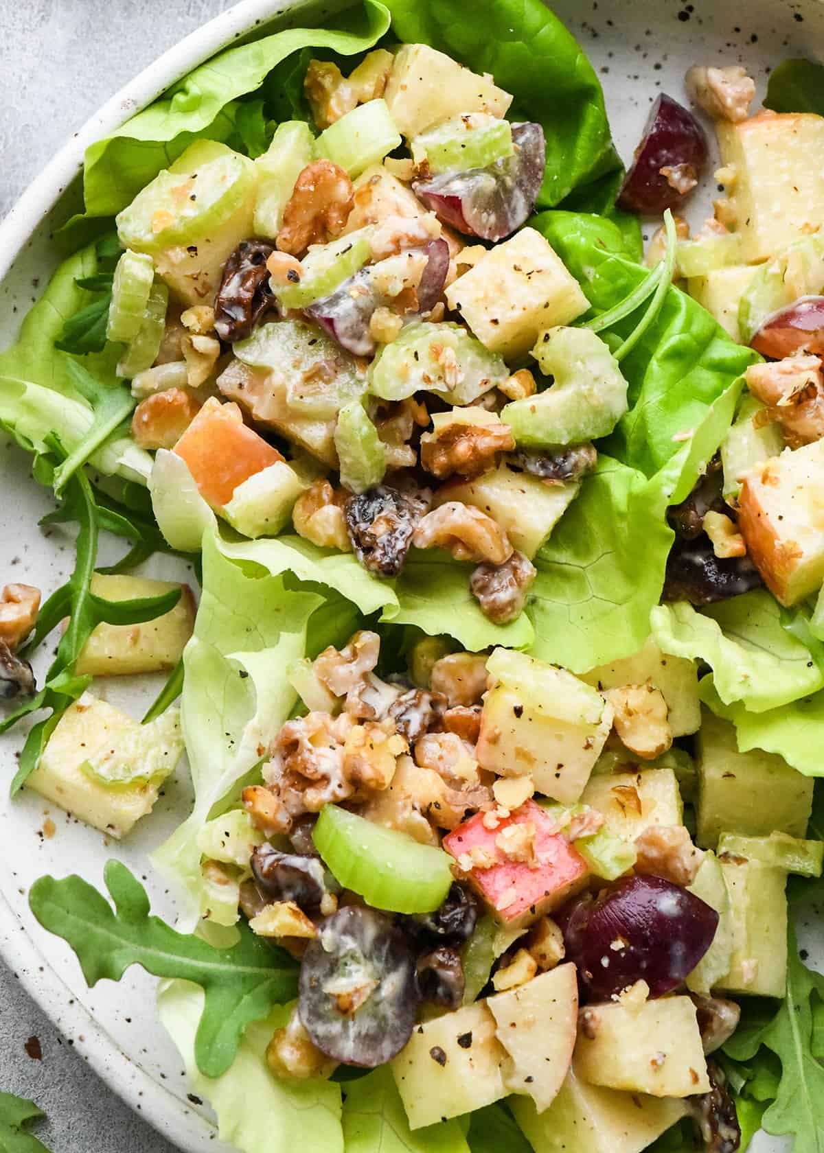 Waldorf Salad Recipe on top of lettuce