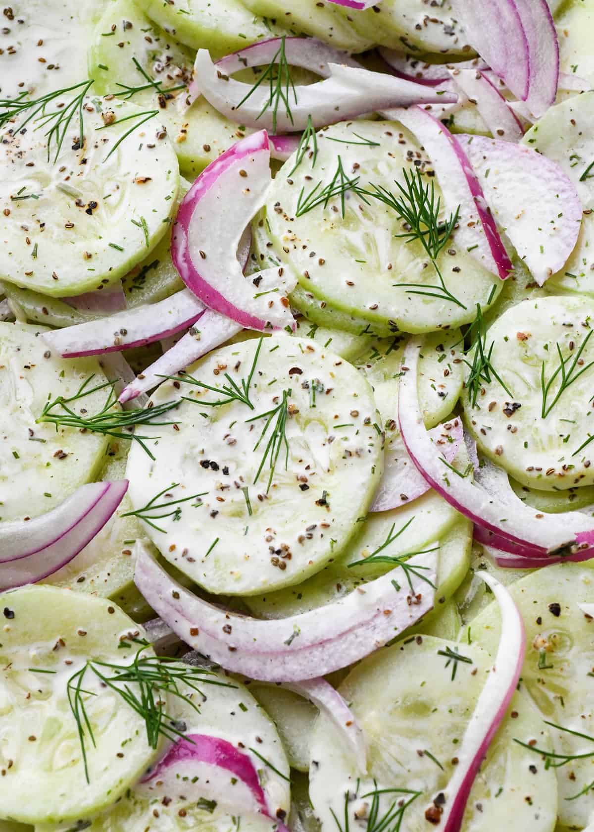 up close photo of Cucumber Salad