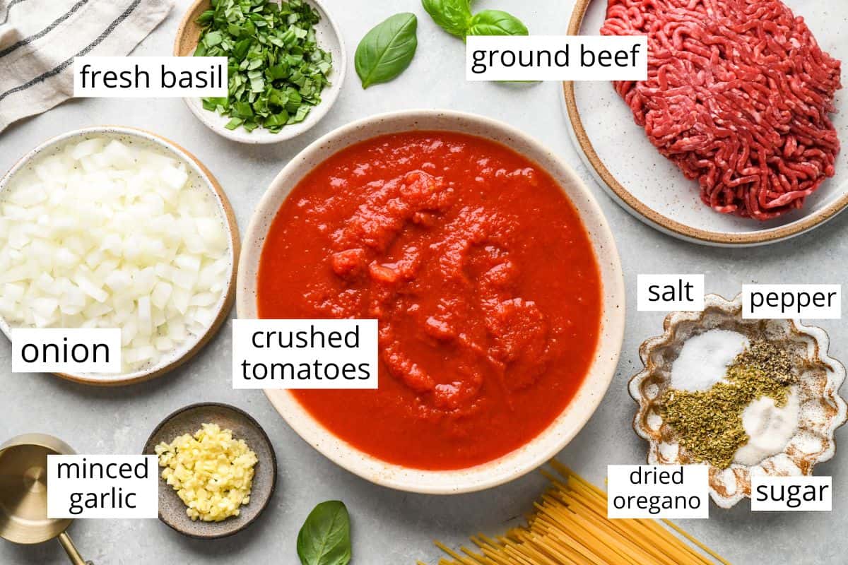 overhead photo of the ingredient sin this Spaghetti Meat Sauce recipe