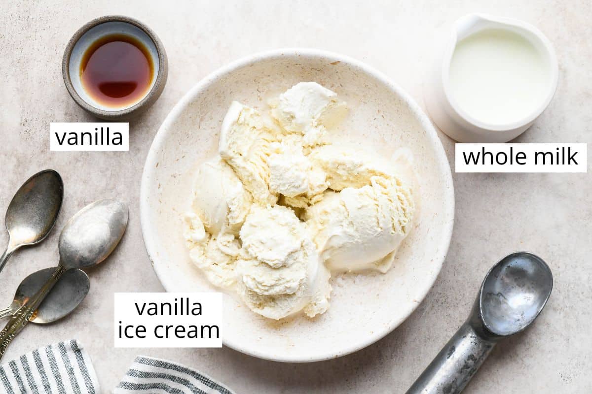 photo of the labeled ingredients in this Vanilla Milkshake recipe