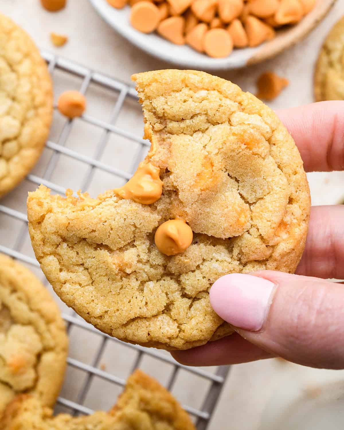 a hand holding a Butterscotch Cookie with a bite taken out of it