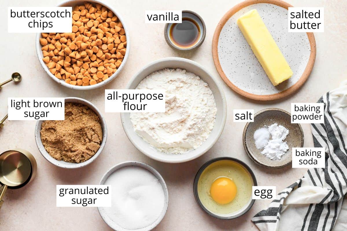 overhead photo of the labeled ingredients in this Butterscotch Cookies recipe