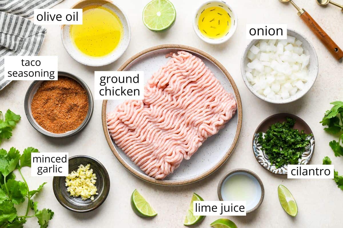 labeled ingredients in this Ground Chicken Tacos recipe