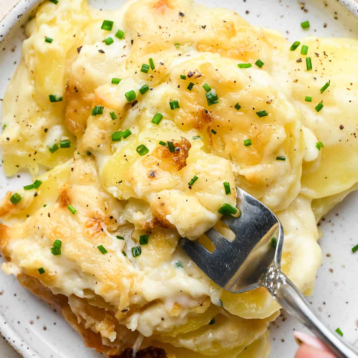 a fork taking a bite of Scalloped Potatoes on a plate