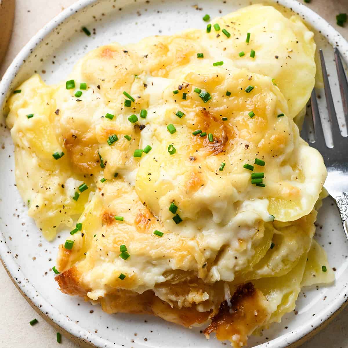 Scalloped Potatoes on a plate with a fork