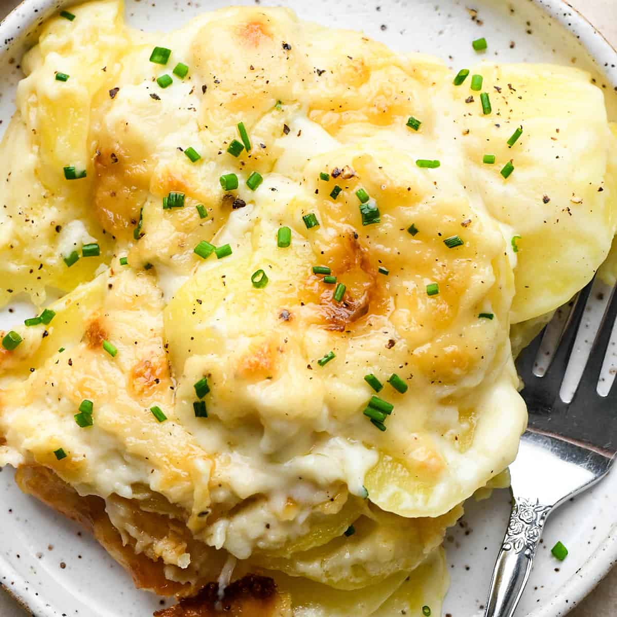 Scalloped Potatoes on a plate with a fork