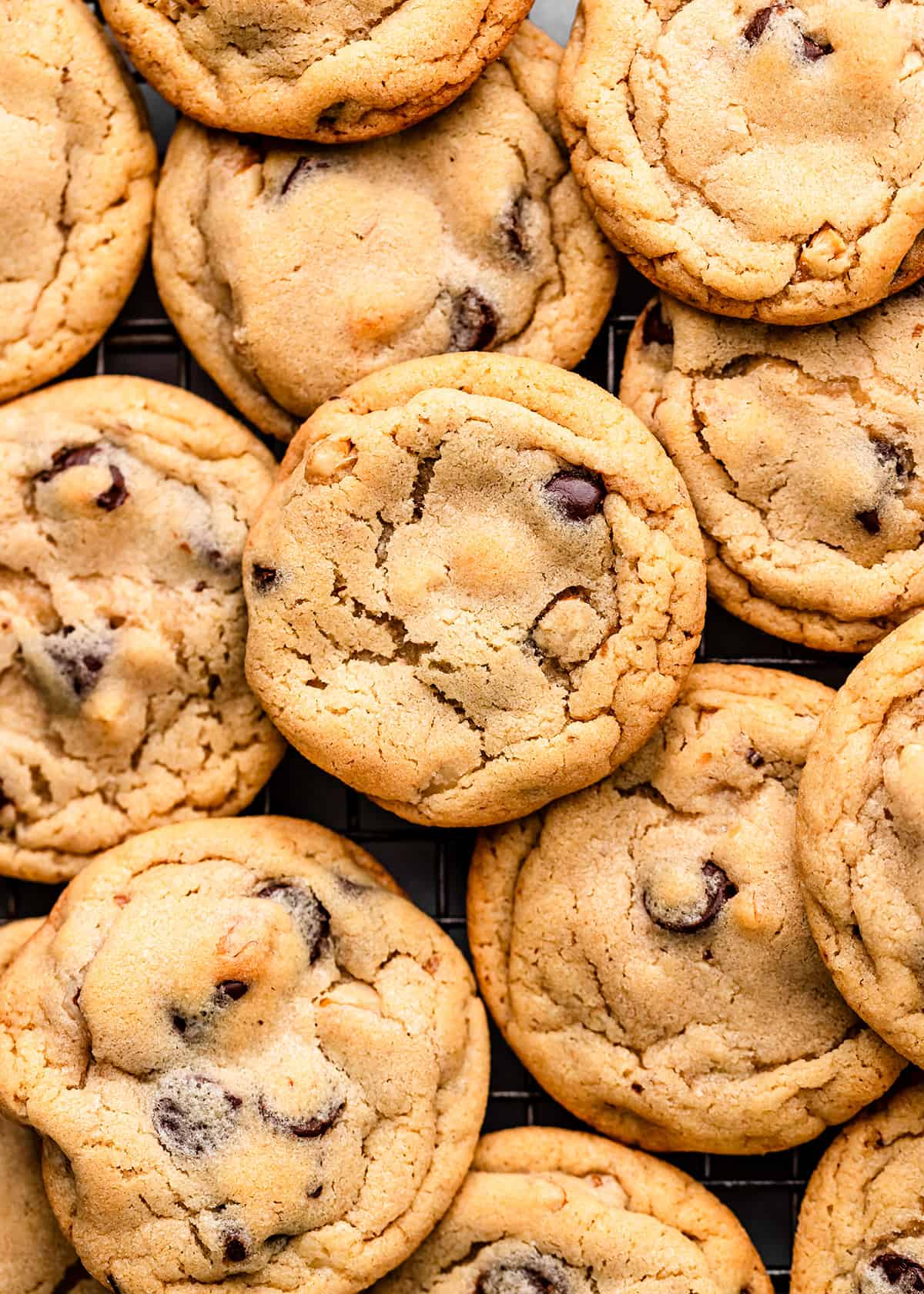 overhead photo of 12 Chocolate Chip Walnut Cookies