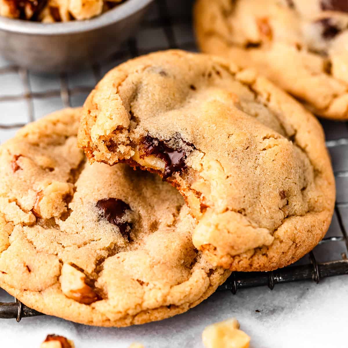 3 walnut chocolate chip cookies, one with a bite taken out of it