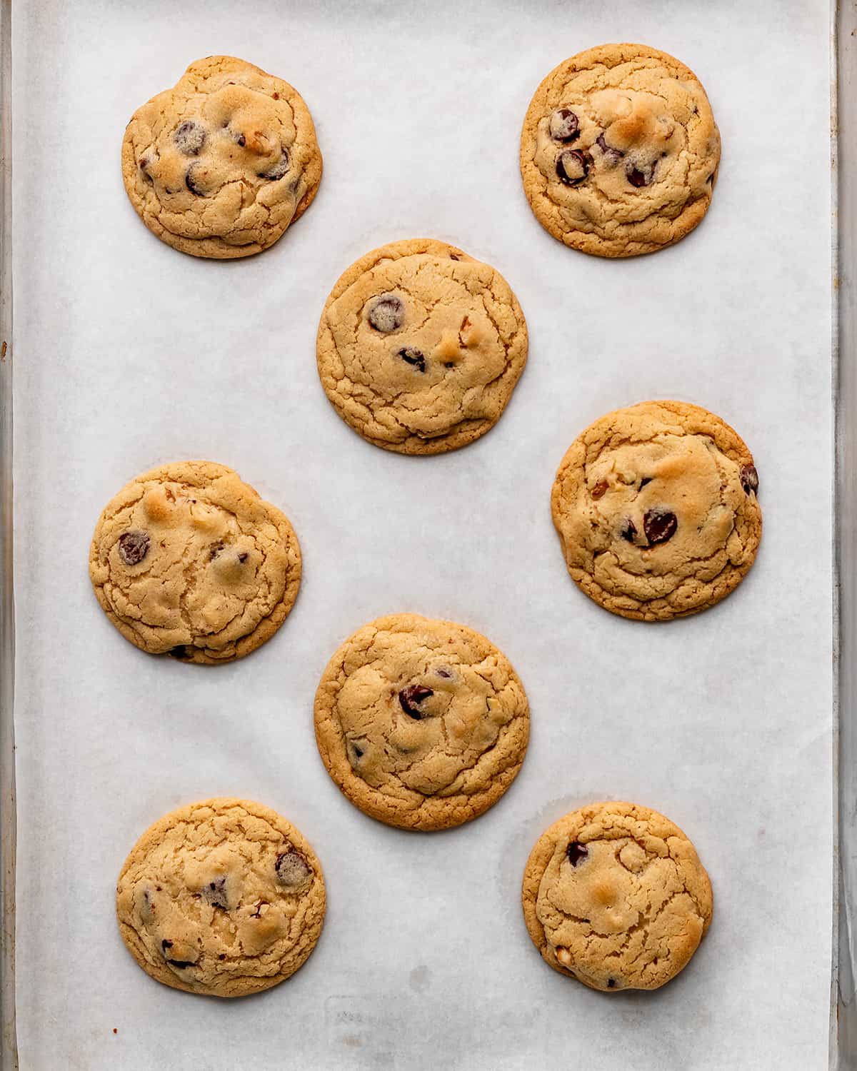 8 Chocolate Chip Walnut Cookies on a baking sheet after baking