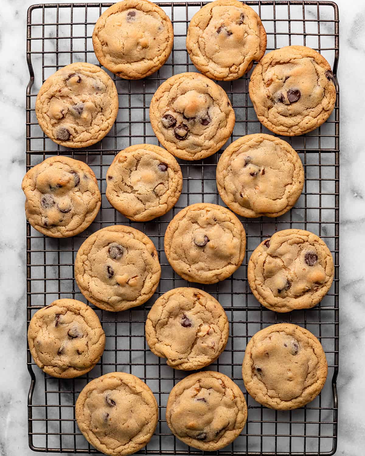 16 Chocolate Chip Walnut Cookies on a rectangular wire cooling rack