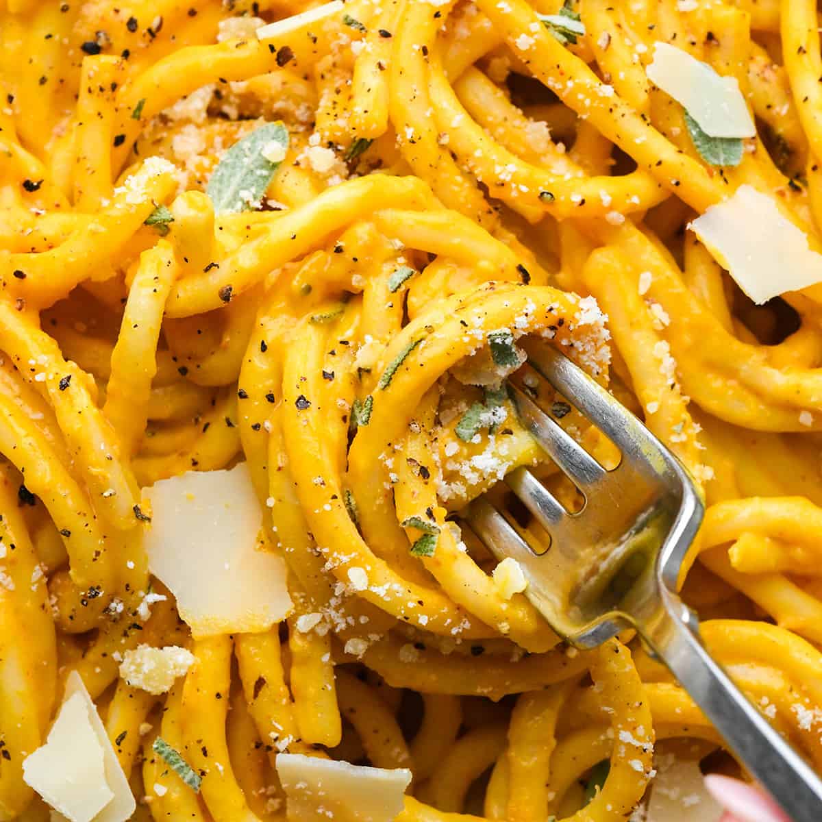 up close photo of Pumpkin Pasta being twirled on a fork