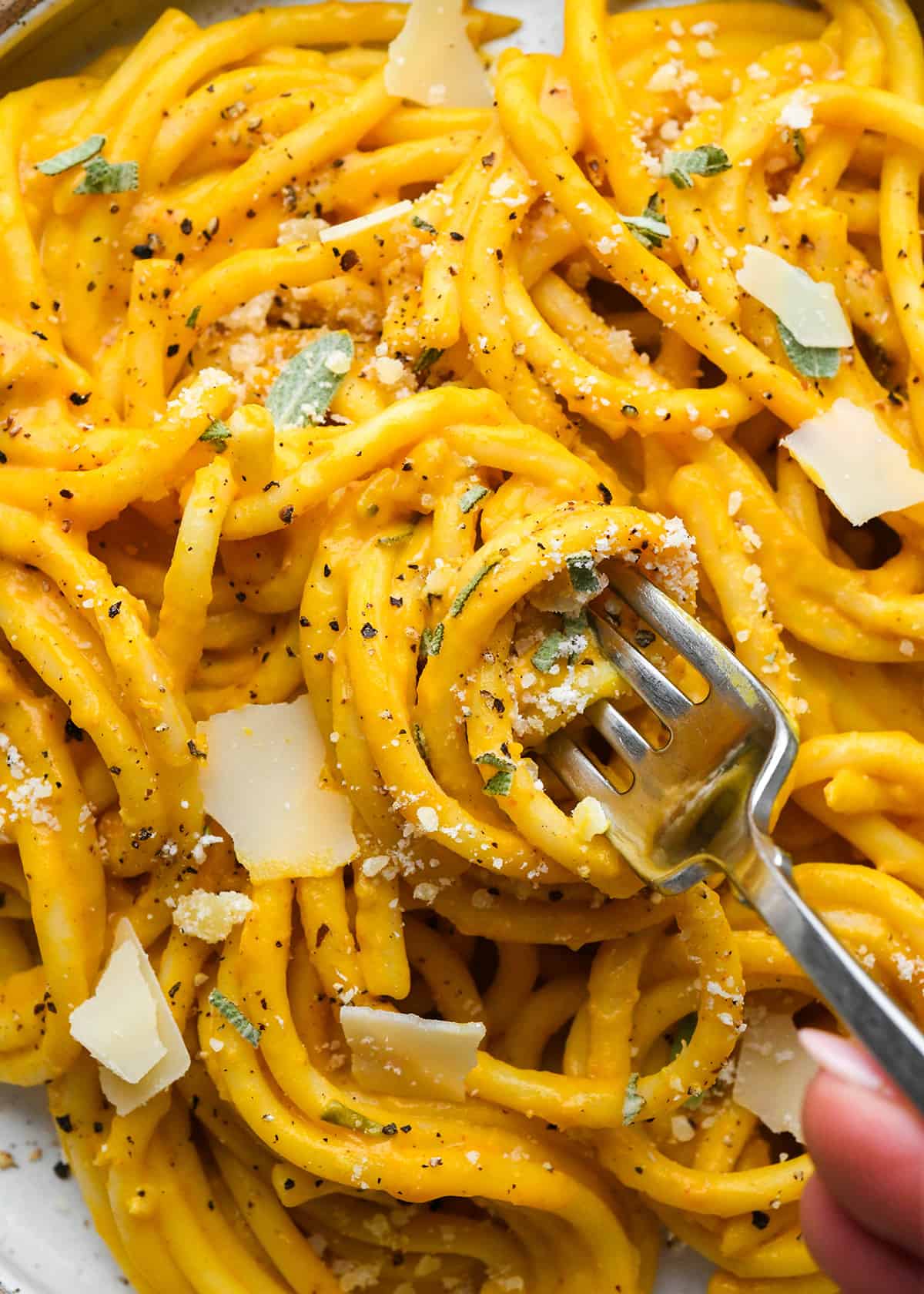 up close photo of a fork twirling Pumpkin Pasta garnished with parmesan and sage