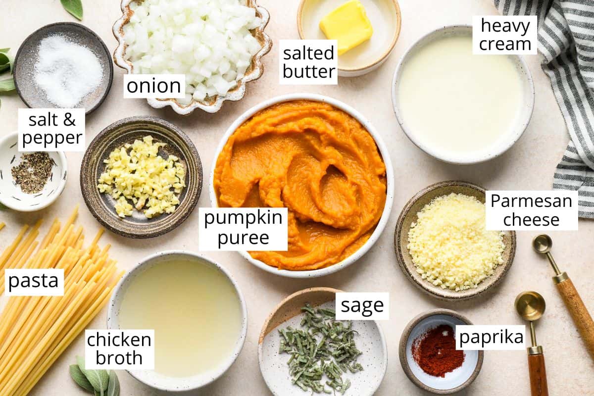 overhead photo of the ingredients in this Pumpkin Pasta recipe