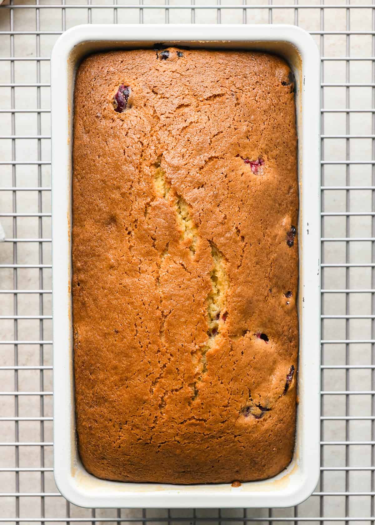 Cranberry Orange Bread in a baking pan after baking on a wire cooling rack.