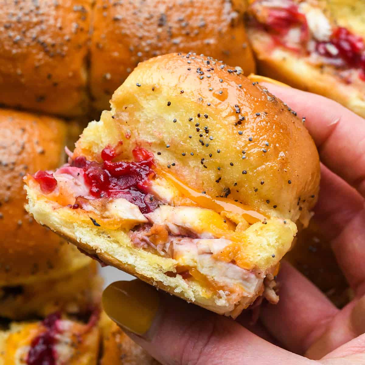 a hand holding a cranberry Turkey Slider