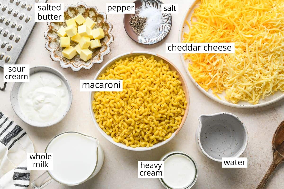 overhead photo of the ingredients in this Crock Pot Mac and Cheese recipe