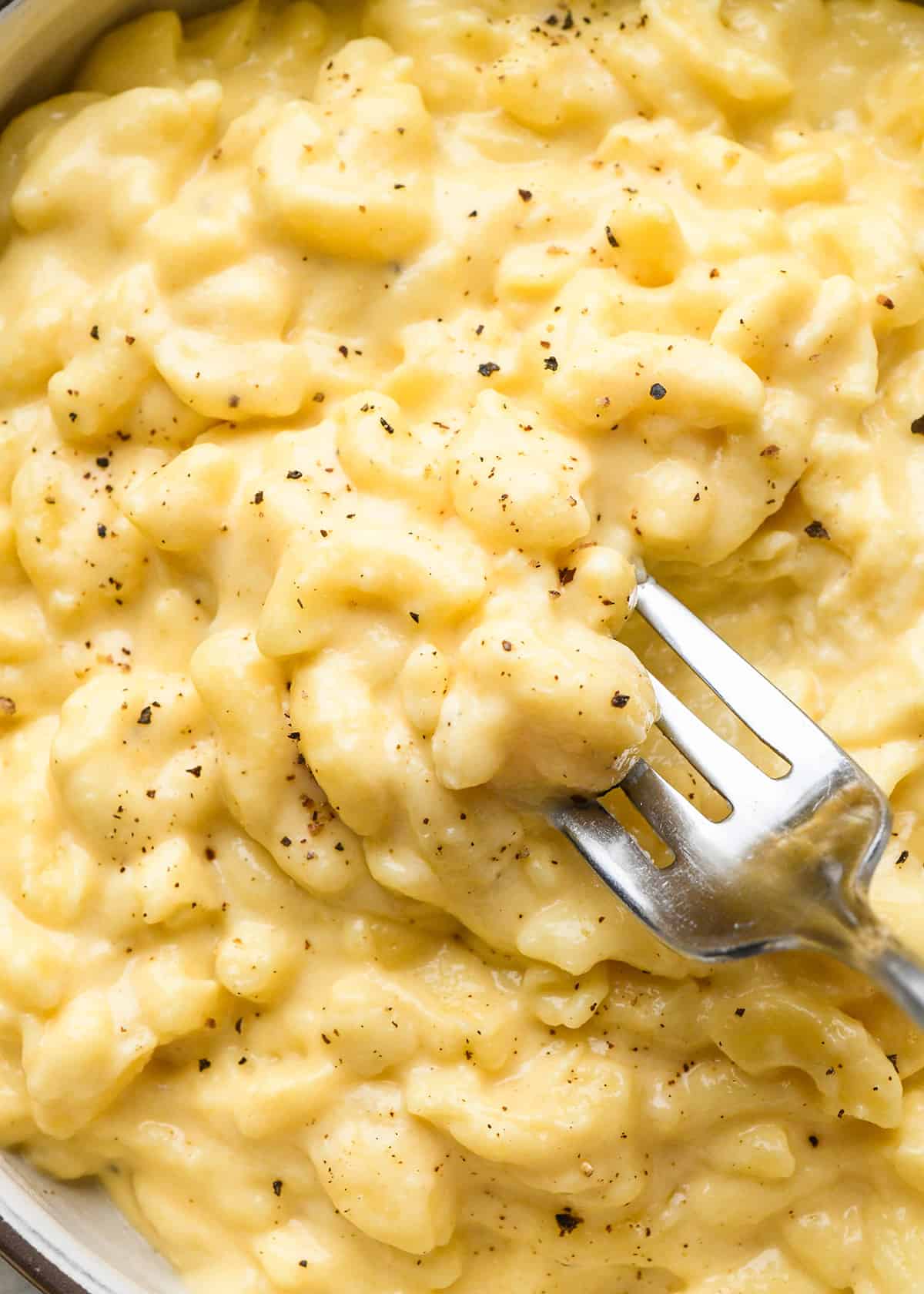 up close photo of a fork in a bowl of crock pot macaroni and cheese