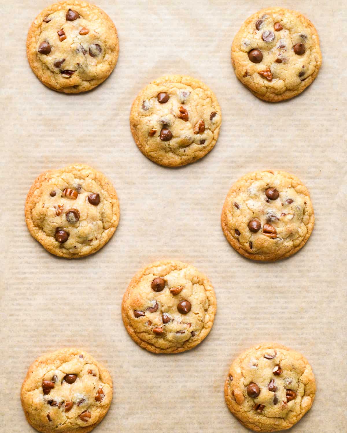 8 Chocolate Chip Pecan Cookies on a baking sheet after baking