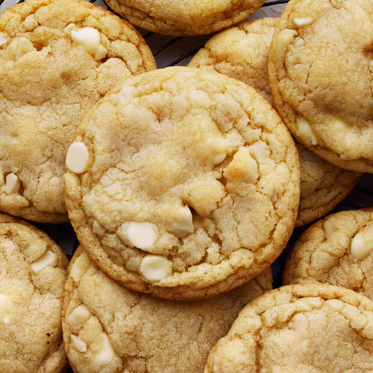Best Christmas Cookie Recipes - white chocolate macadamia nut cookies