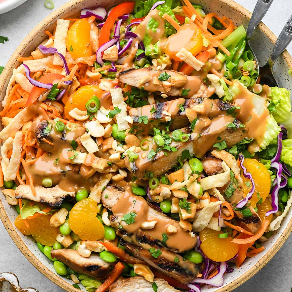 Best Chicken Breast Recipes - asian chicken salad