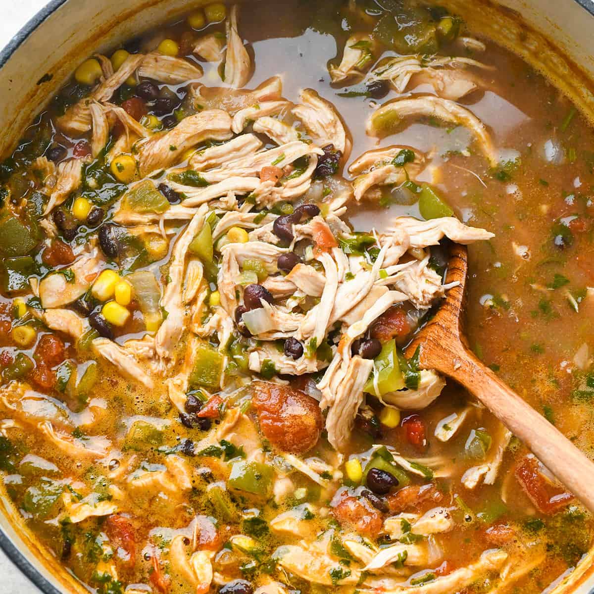 Best Chicken Breast Recipes - chicken tortilla soup