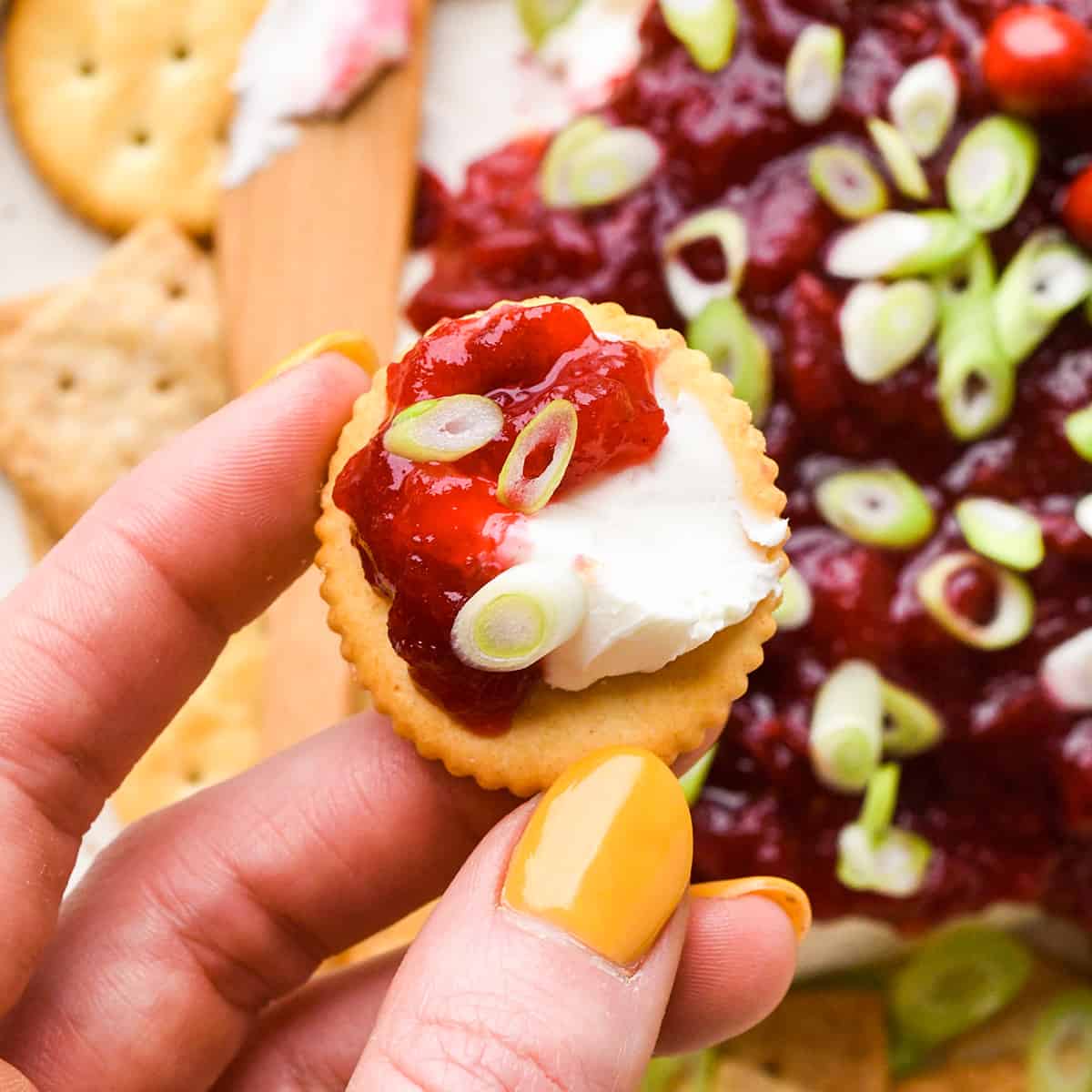 a hand holding a cracker with Cranberry Cream Cheese Dip spread onto it