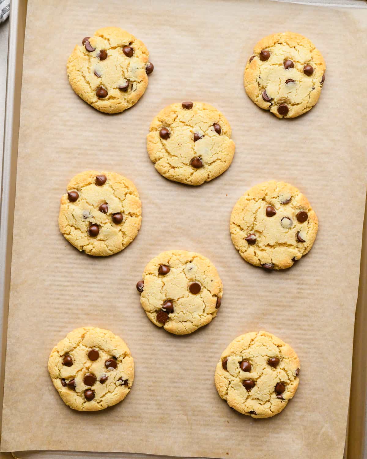 8 almond flour chocolate chip cookies on a baking sheet after baking