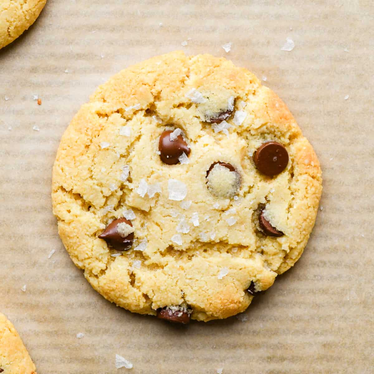 one Almond Flour Chocolate Chip Cookie with flaky sea salt