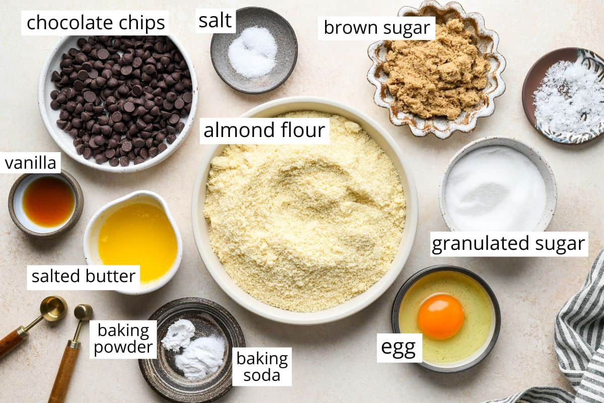 overhead photo of the labeled ingredients in this almond flour cookies recipe