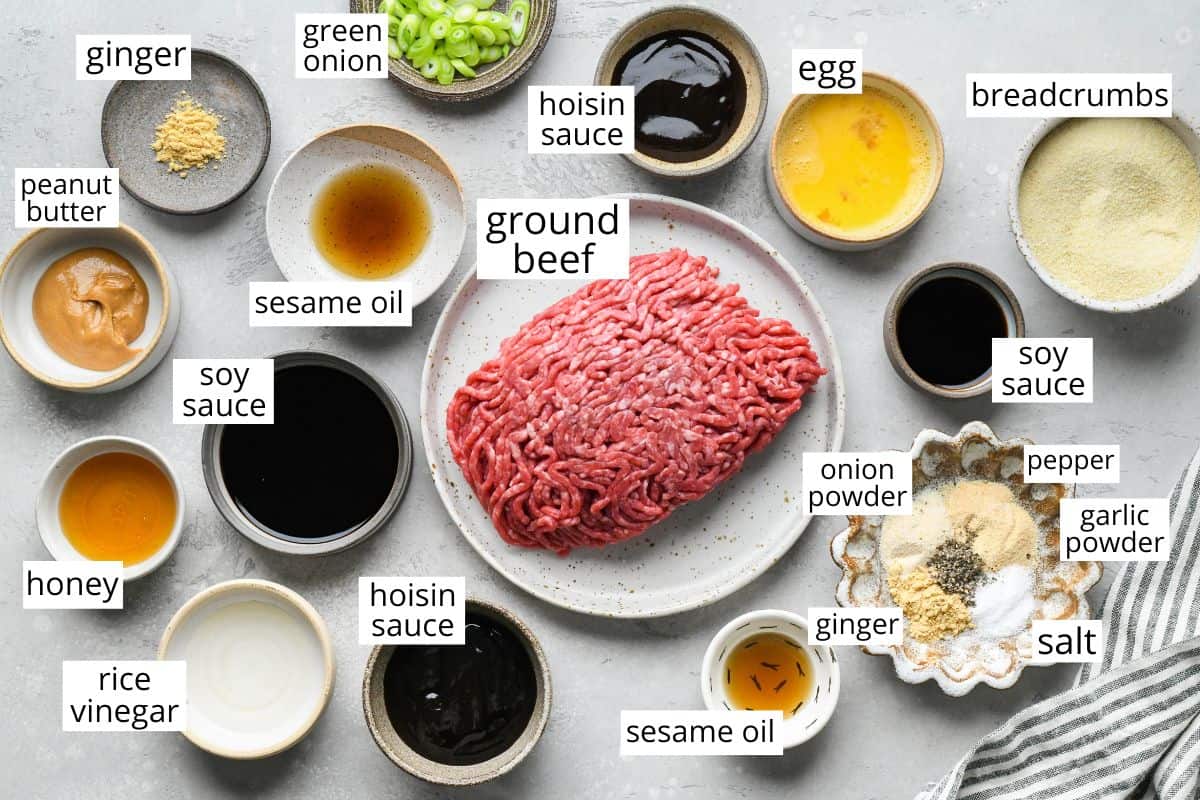 overhead photo of the labeled ingredients in this Asian Meatballs recipe