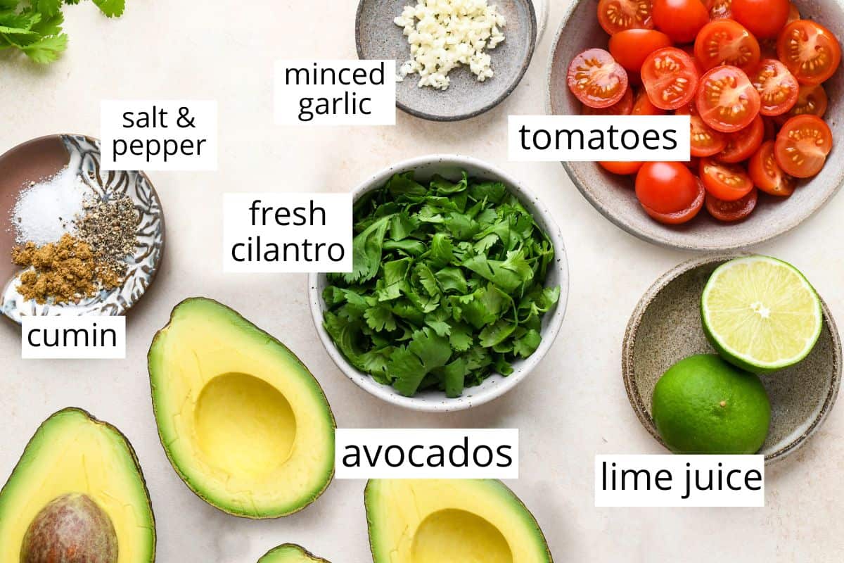 overhead photo of the labeled ingredients in this Guacamole Recipe