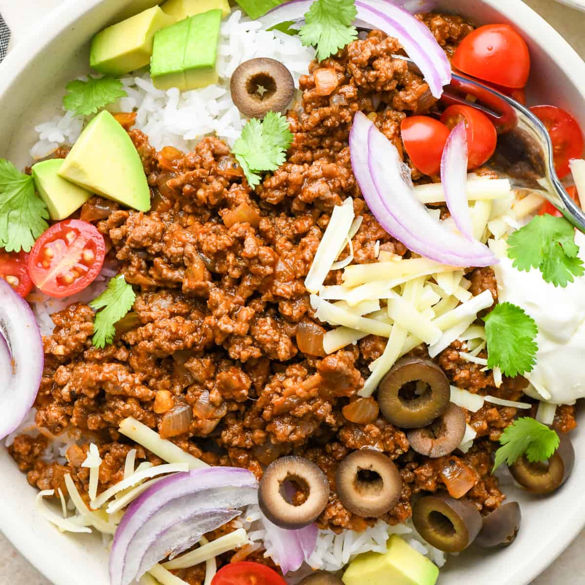 overhead photo of a sloppy joe bowl with toppings