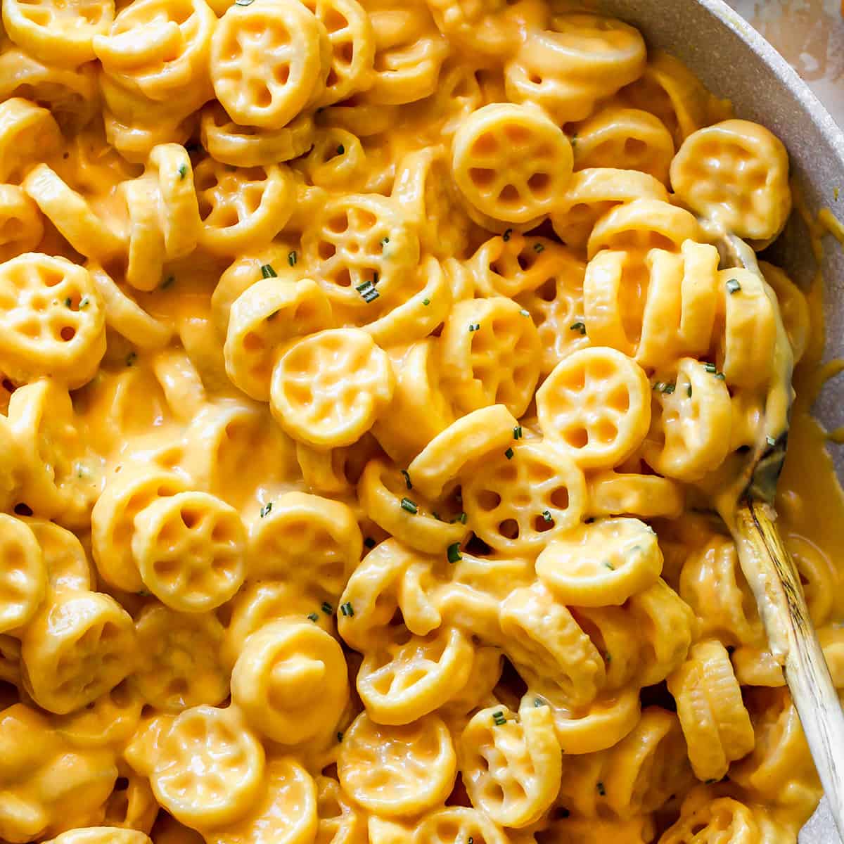 Best Thanksgiving Recipes butternut squash mac and cheese