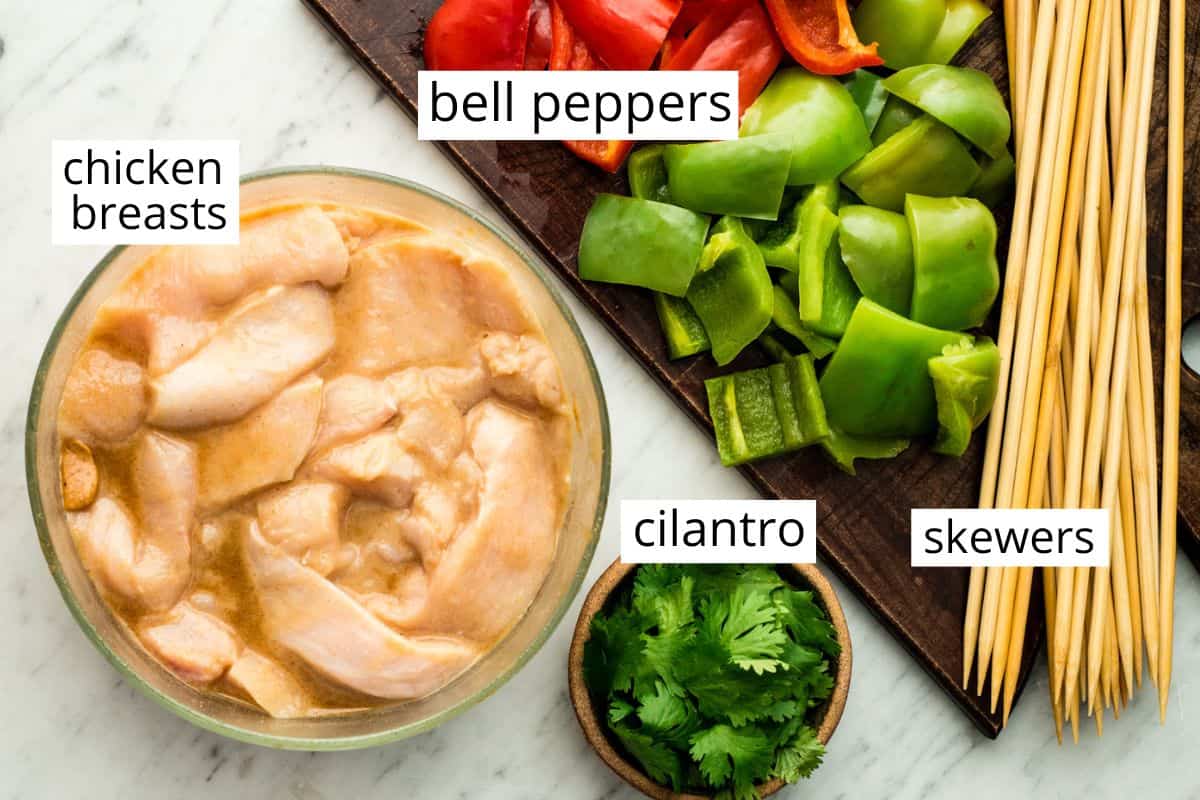overhead photo of the labeled ingredients in this chicken satay recipe