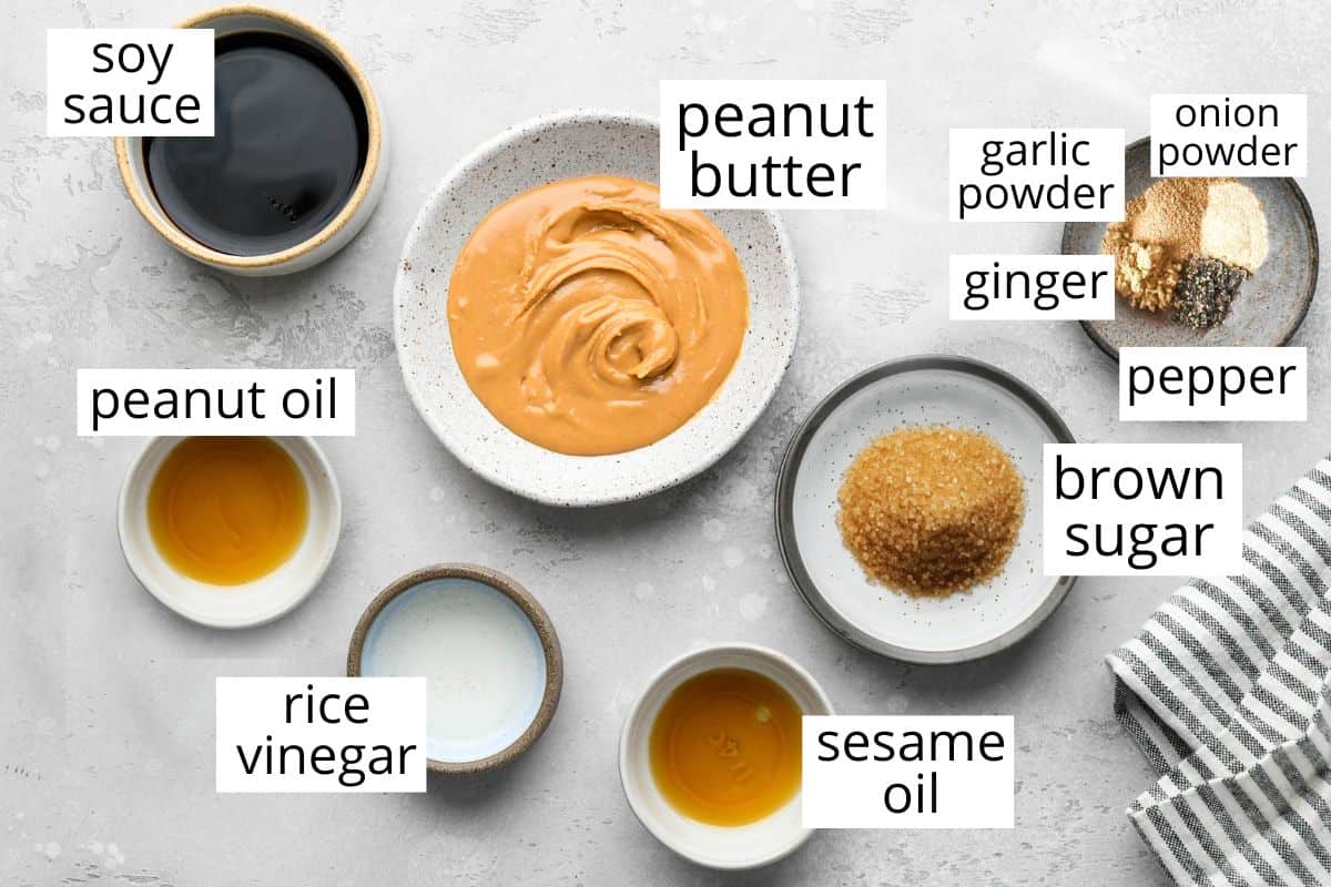 overhead photo of the labeled ingredients in this chicken satay peanut sauce recipe