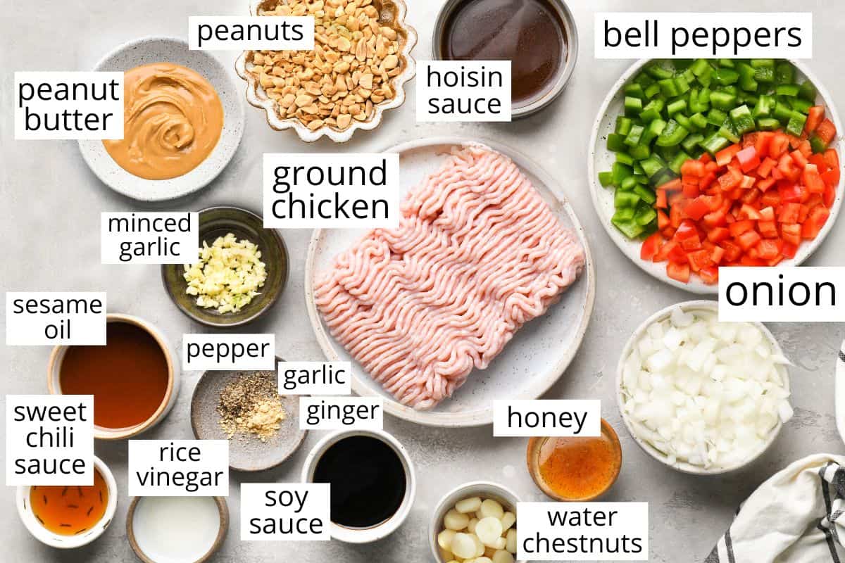 overhead photo of the labeled ingredients in this Asian Chicken Lettuce Wraps recipe
