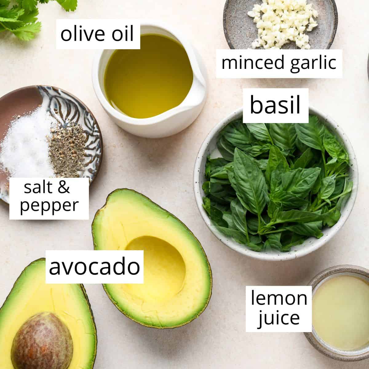 overhead photo of the labeled ingredients in this Avocado Pasta Sauce recipe