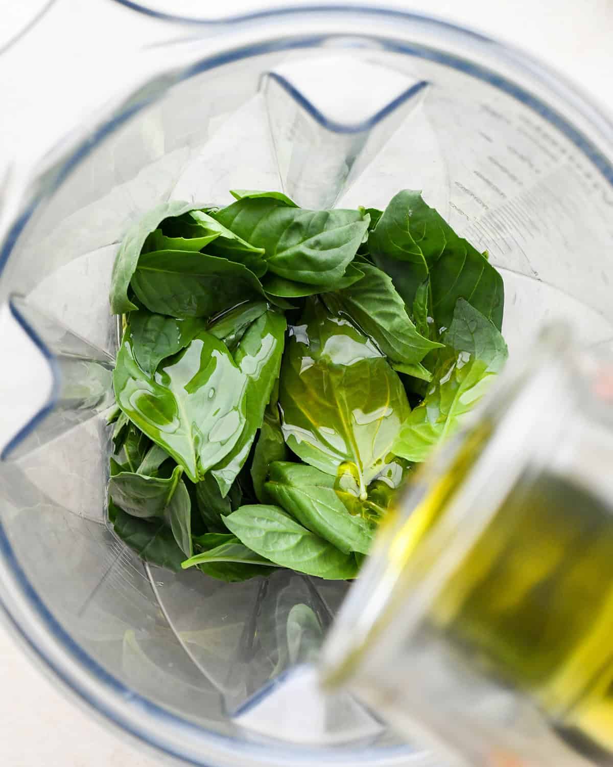 How to Make Pesto Sauce - olive oil being poured over basil leaves in a blending container
