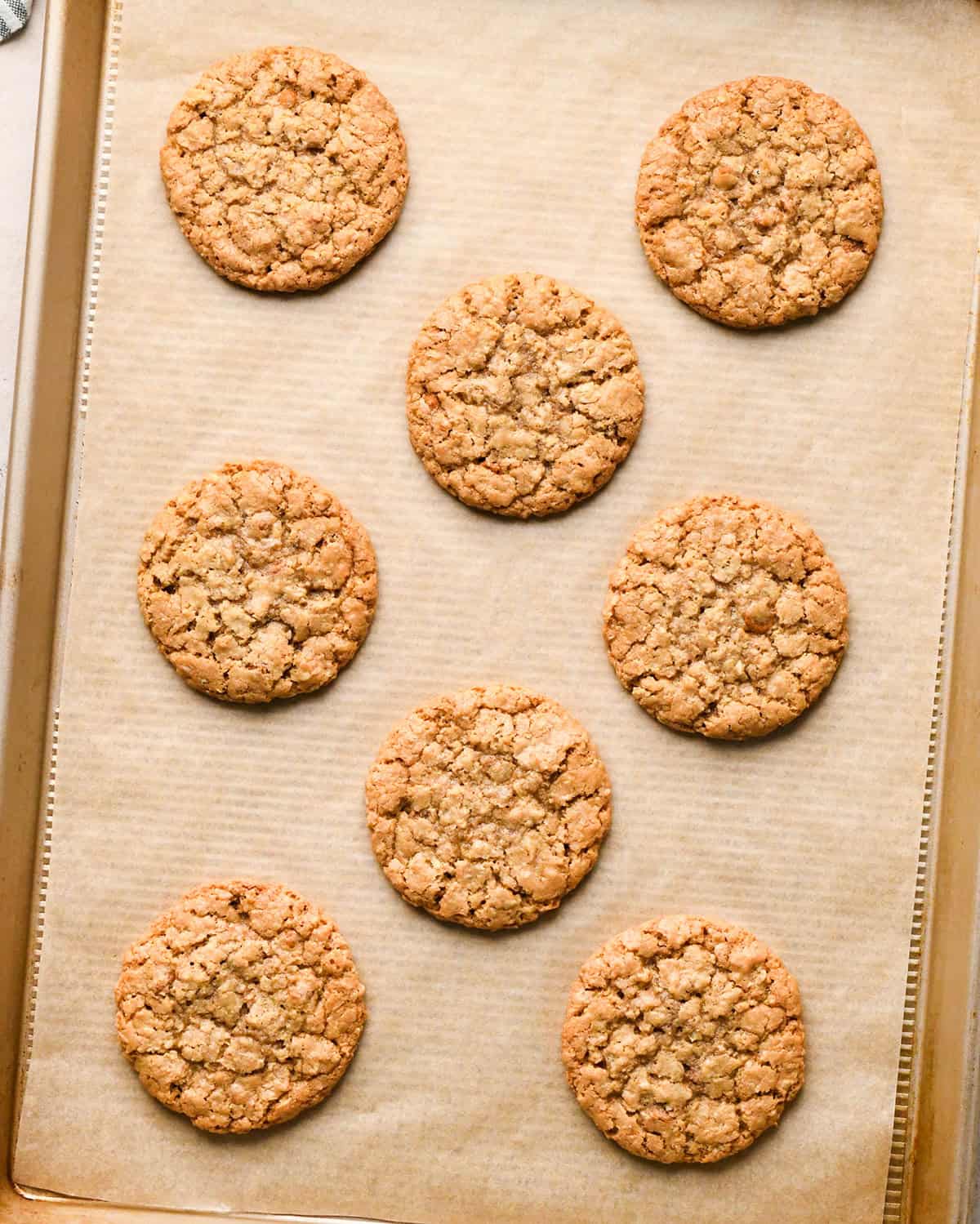 8 Iced Oatmeal Cookies on a baking sheet after baking, before icing