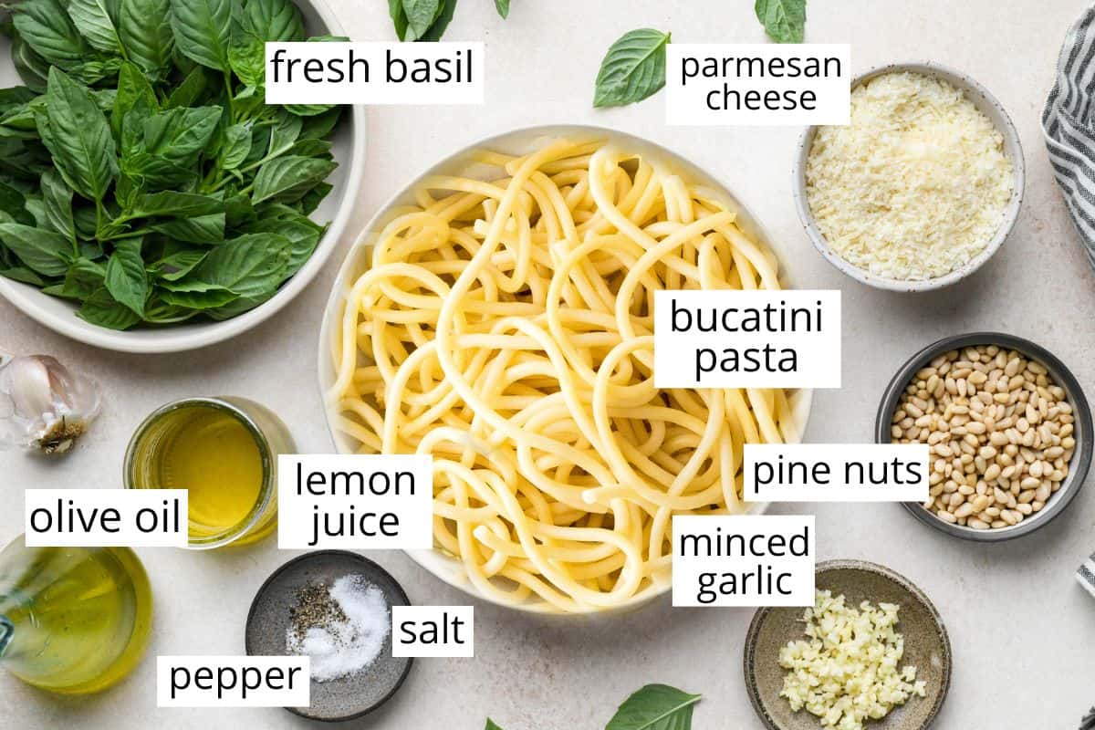 overhead photo of the labeled ingredients in this pesto pasta recipe