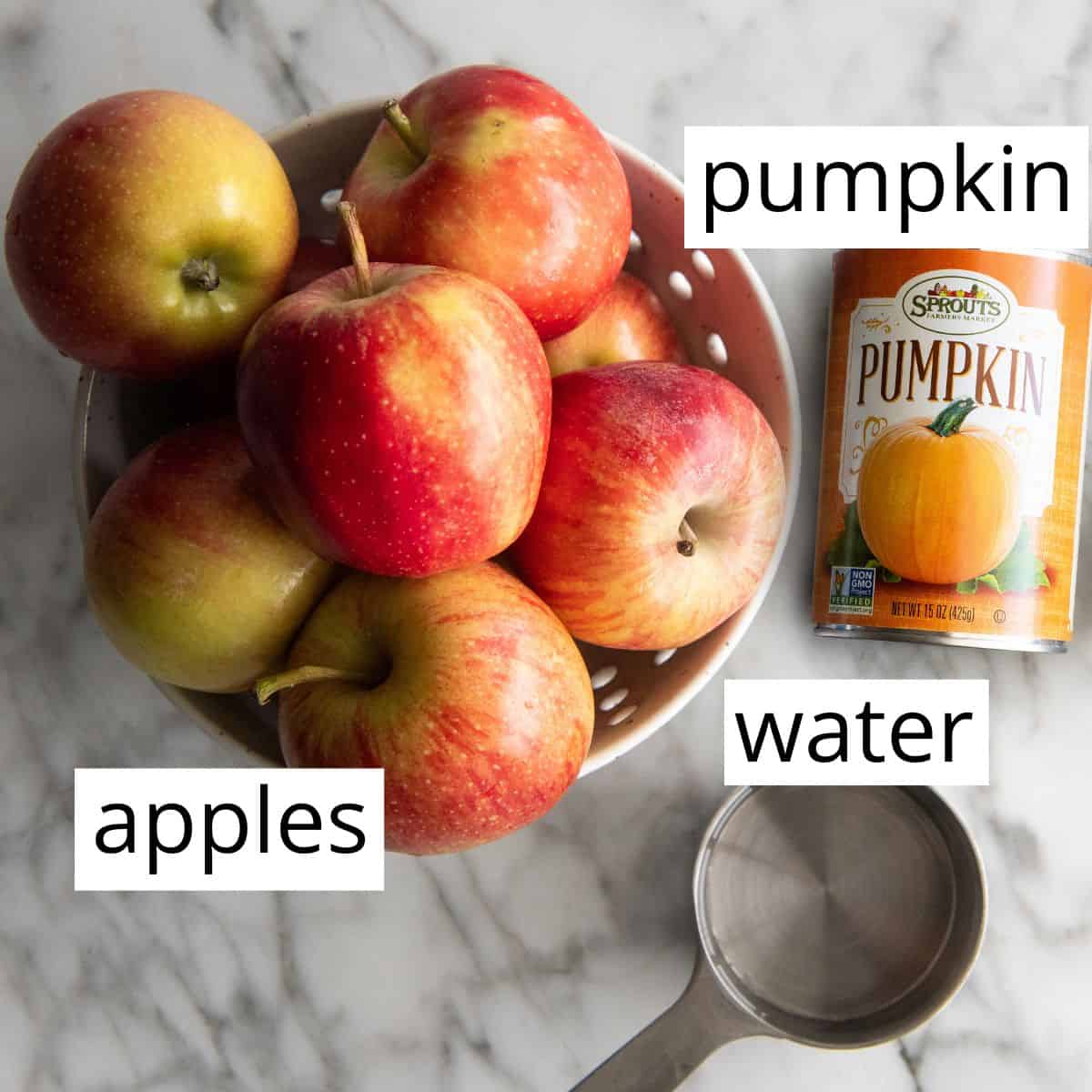 the labeled ingredients in this Apple & Pumpkin Baby Food recipe