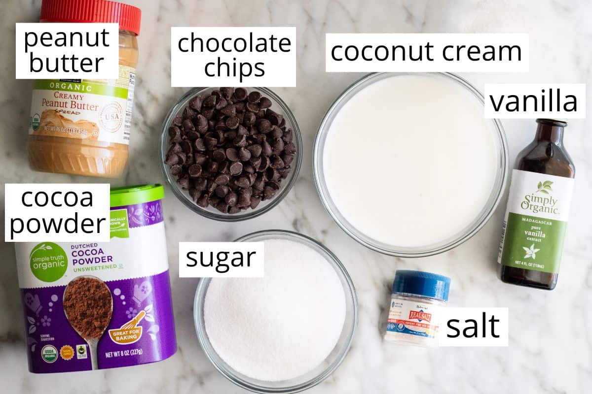 overhead photo of the ingredients in this Chocolate Peanut Butter Fondue recipe