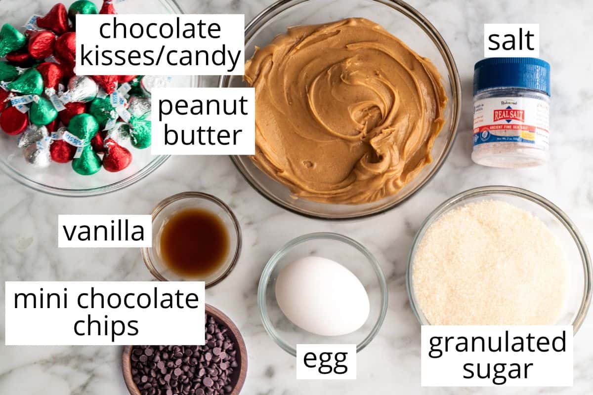 overhead photo of the labeled ingredients in this Gluten Free Peanut Butter Blossoms recipe