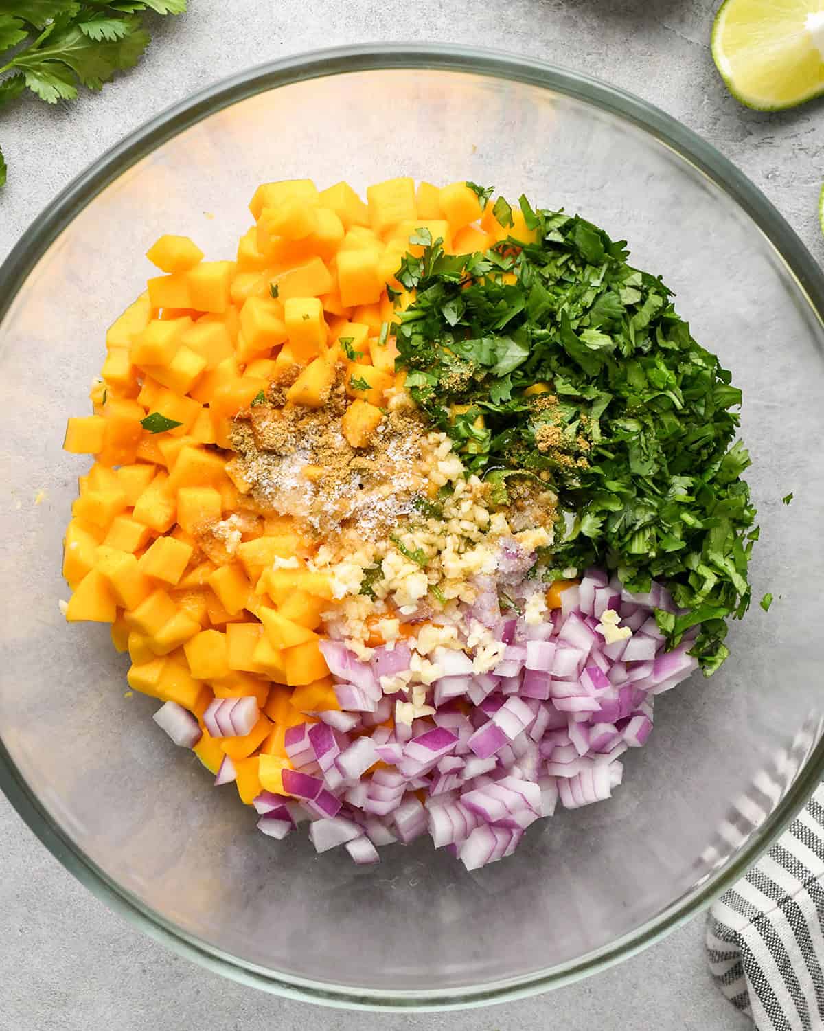 How to make Mango Salsa - ingredients in a bowl before stirring